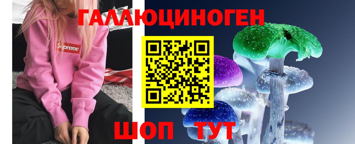 Ишим  Псилоцибиновые грибы MAGIC MUSHROOMS  Галлюциногенные грибы мухоморы  Вход с VPN 